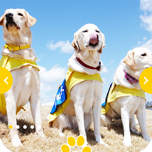 日本介助犬協会